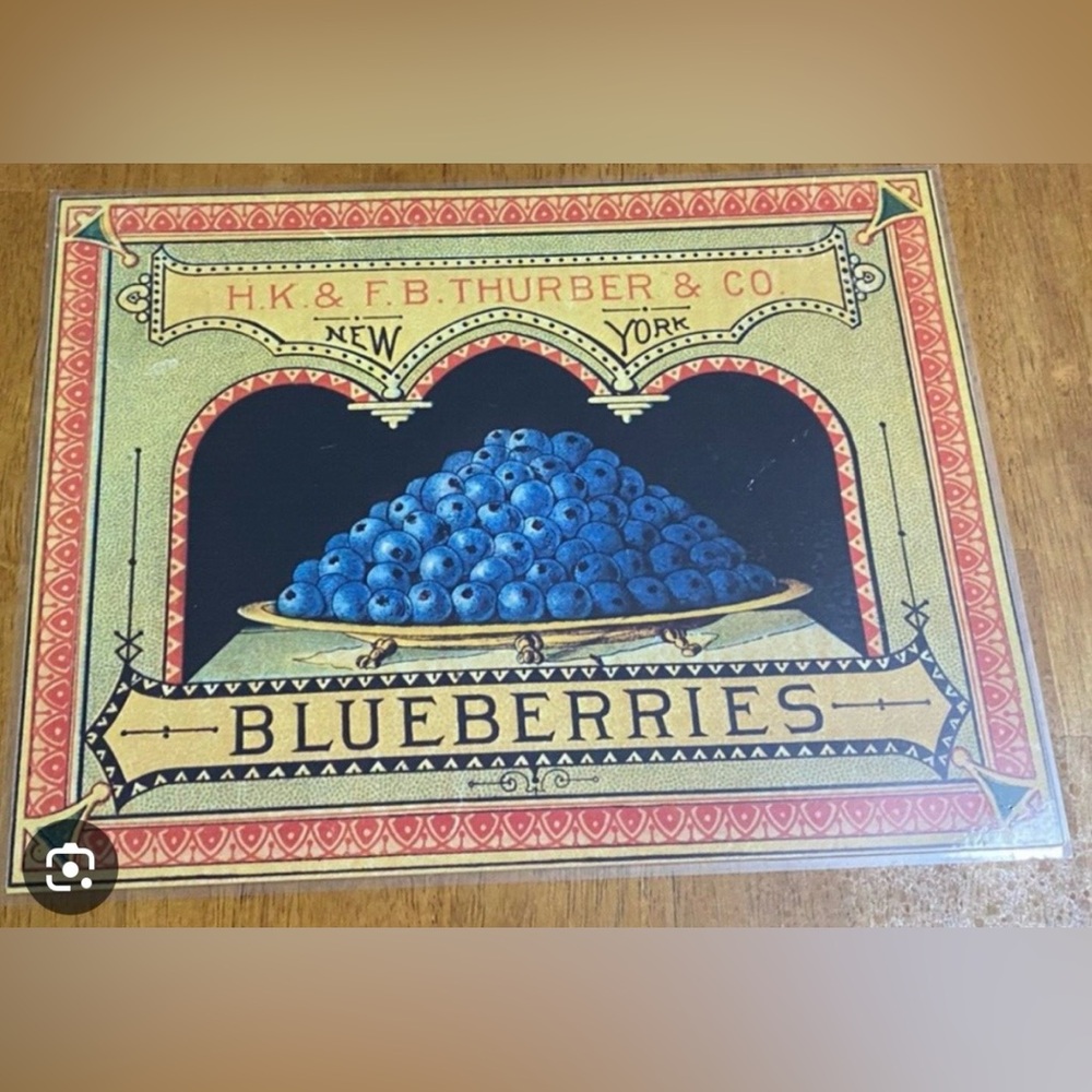 Vintage H.K. & F.B. Thurber & Co Blueberries and Peas Place Mats - Picture 2 of 5